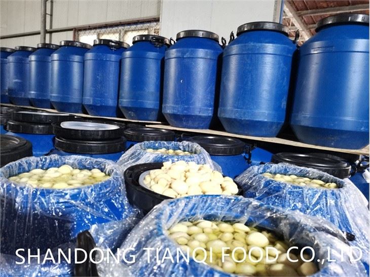 2022 best price mushroom in brine in drums