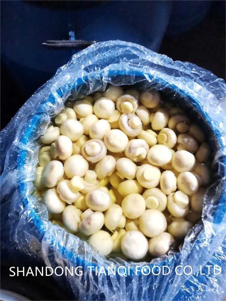 Cogumelo em Salmoura em Barril