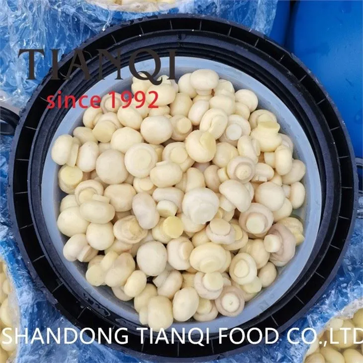 Cultivated White Mushroom in Brine in Plastic Barrel
