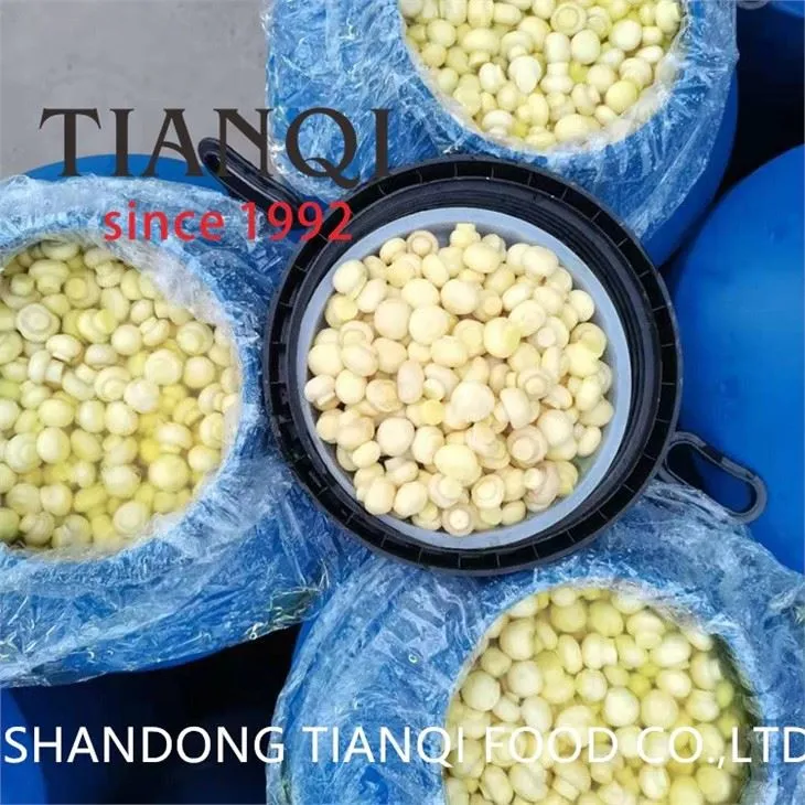 Preserved Brined White Mushroom In Plastic Barrel