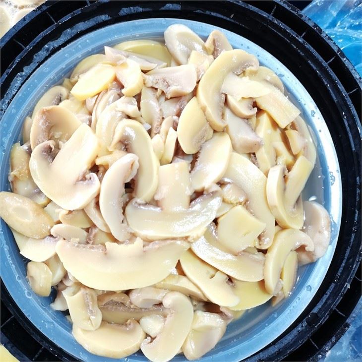 PNS Mushroom in salty water