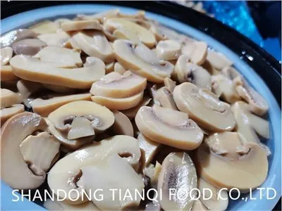 Champignon cogumelo inteiro e PNS em salmoura em tambor