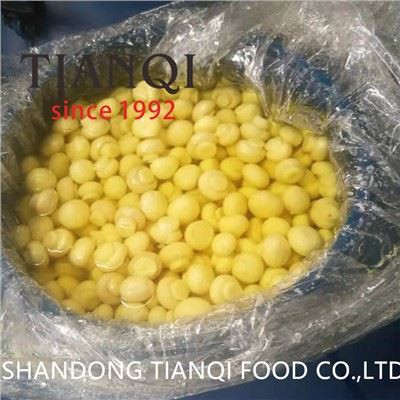 Venda por atacado de cogumelo chinês novo em SO2 em tambores