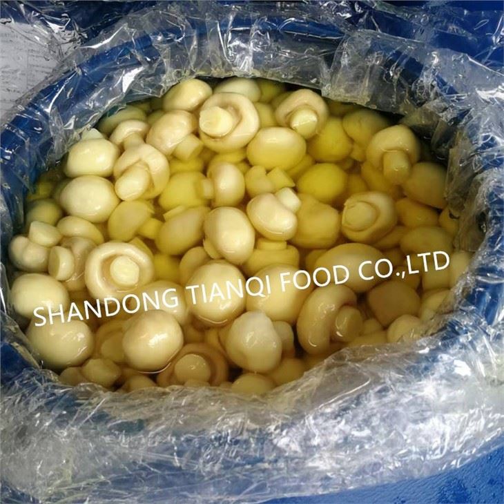 Wholesale White Champignon Mushroom in Brine in Drums